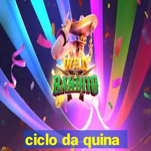 ciclo da quina